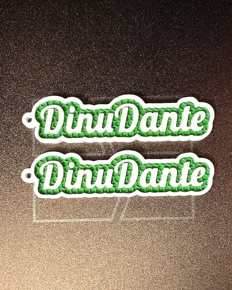 A pair of keyrings reading DinuDante in green script on a white outline, lying on a textured print bed
